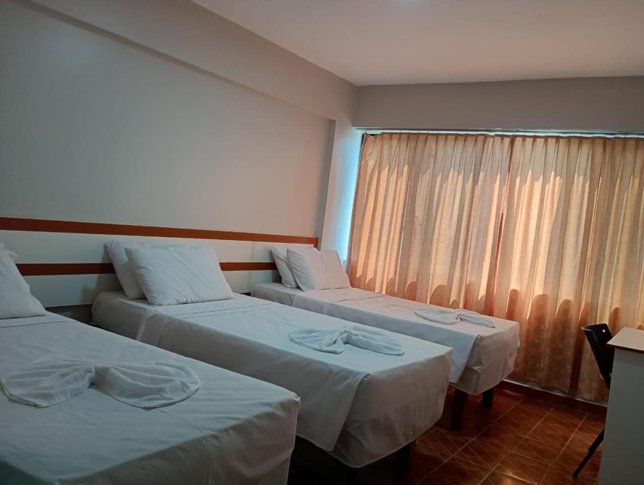 Gran Hotel Teatro 马瑙斯 外观 照片