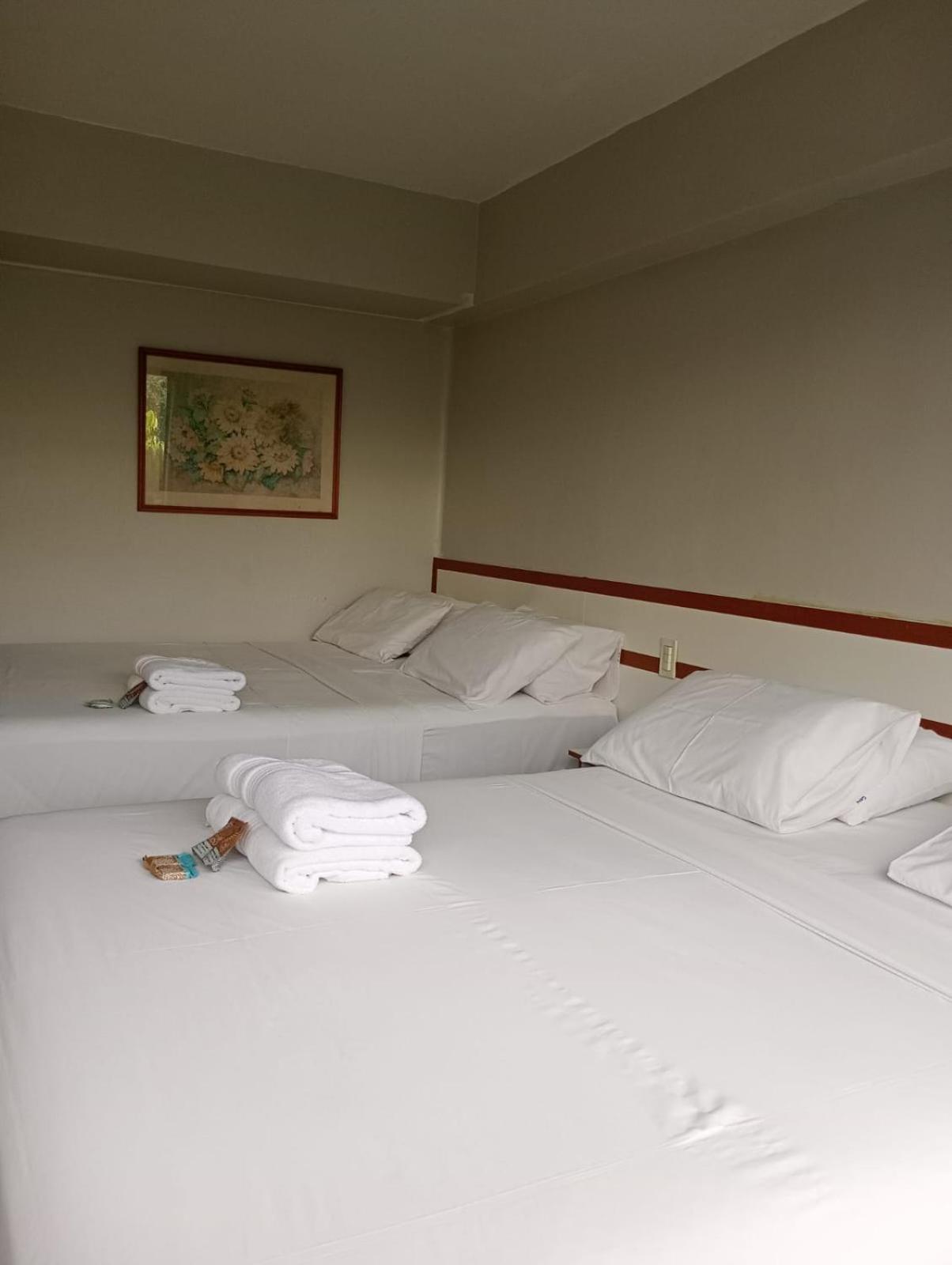 Gran Hotel Teatro 马瑙斯 外观 照片